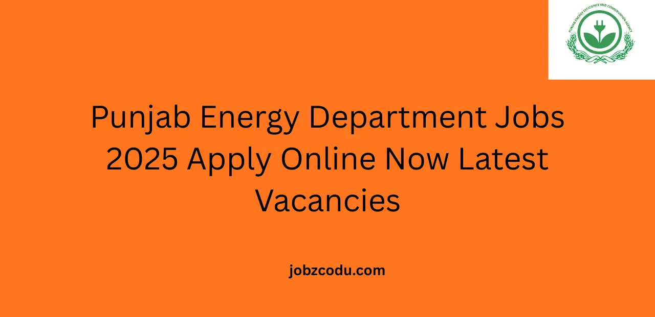 Punjab Energy Department Jobs 2025 Apply Online Now Latest Vacancies