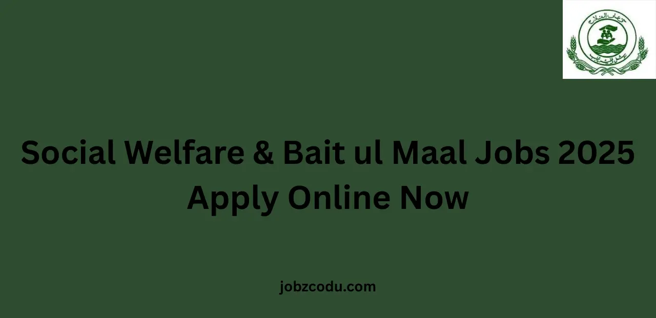 Social Welfare & Bait ul Maal Jobs 2025 Apply Online Now